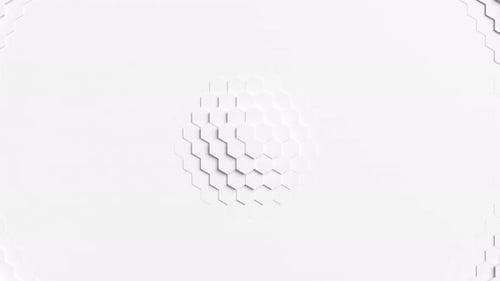 A white circle with a hexagonal pattern surrounding it. Looped animation