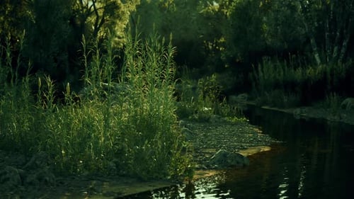 Lush Greenery Along a Tranquil Stream in a Serene Forest During Daylight