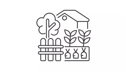Minimalist Line Art Animation of a Garden with House and Tree