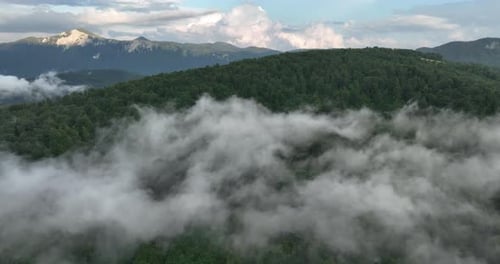 Nebelige Bergwaldlandschaft Wolken wirbeln um die üppigen grünen Hügel und fernen Gipfel