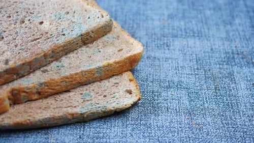 Brown Bread with Mildew