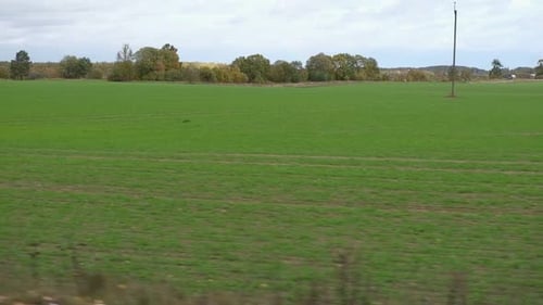 Rustikale Landschaft, POV, Seitenansicht aus einem Autofenster, herbstliches Waldfeld in der Ferne, braun