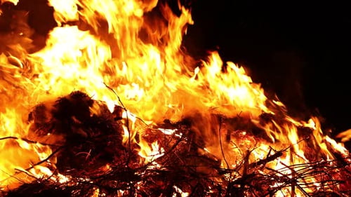 Large bright bonfire burning in dark night, closeup. Camera moving left