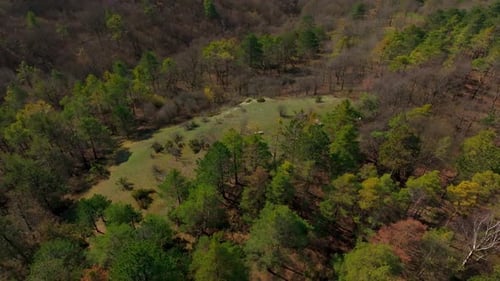 Densely Wooded Hilly Landscape In Springtime. Aerial Drone Shot