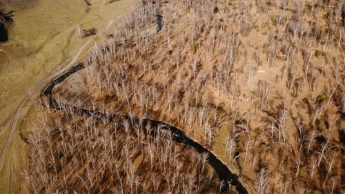 River Flows Through Dry Valley with Bare Trees and Mountains Media