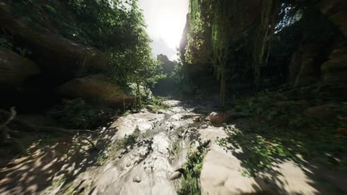 Lush Mosscovered Canyon Walkway Sunlit Path Through Verdant Rocky Canyon