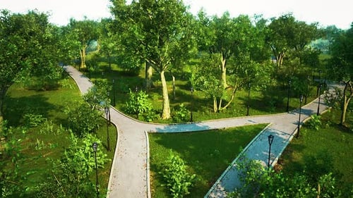 Aerial View of Green Park with Forking Paths