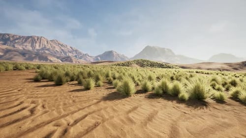Desert Landscape Surrounded By Mountains with Low Bushes and Dry Grasses