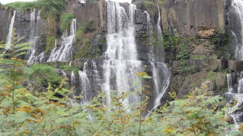 Slow Motion Shot of Exquisite Waterfalls Cascade with Tropical Plants and Greenery