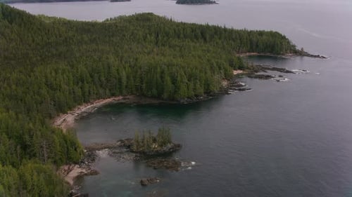 Majestic british columbia coastal fjords and lush rainforests aerial view