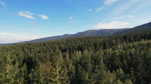 Aerial Over Trees in Mountains