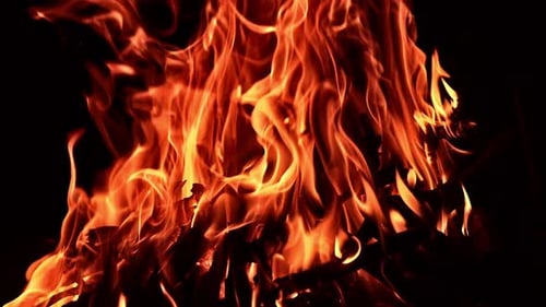 Some pieces of wood are burning in the campfire. Beautiful orange flames at black backdrop.