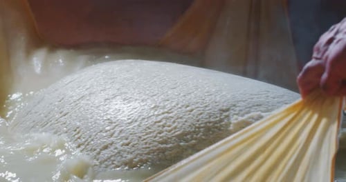 Gros plan au ralenti d'un fromager prépare une forme de parmesan à base de fromage frais et biologique