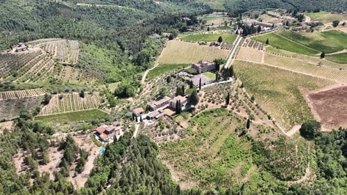 Aerial View of Houses, Vineyards, and Forest