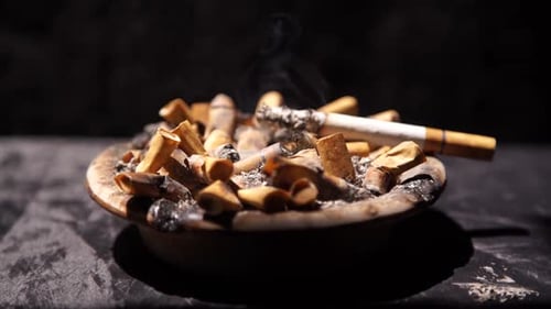 in movies do they smoke real cigarettes Actors Smoking Honeyrose Herbal Smokes: Jeremy Allen White – News – in movies do they smoke real cigarettes Actors Smoking Honeyrose Herbal Smokes: Jeremy Allen White – News –