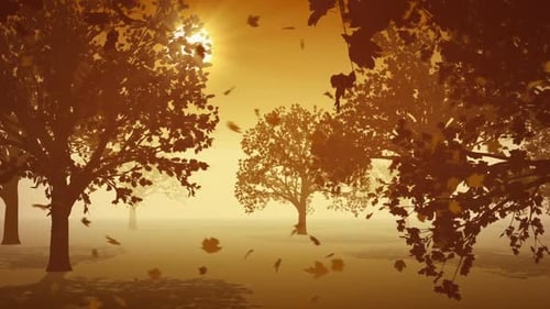 Golden Autumn Trees with Falling Leaves and Sunlight Loop