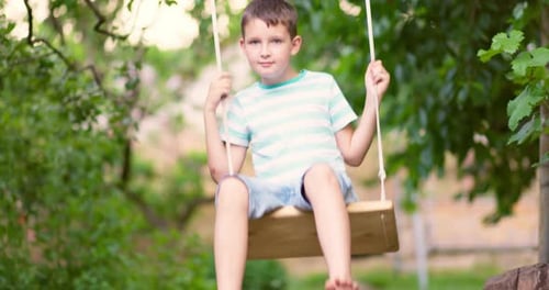 Happy Little Boy Swinging on a Swing in the Garden