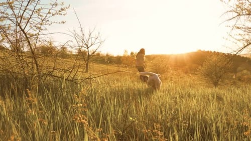 Sunset Susurra el vínculo juguetón de la mujer con sus animados compañeros caninos