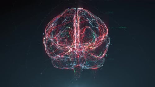 Digital Brain Scan with Neural Network Data Visualization