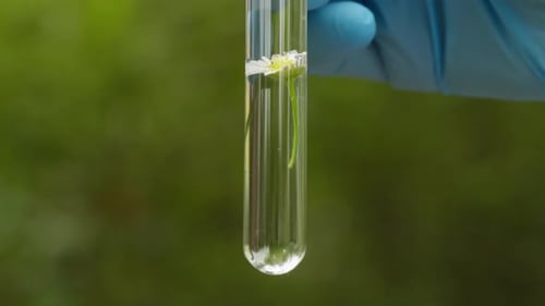 Taking Probe of Soil in Forest Geologist Man Worker Taking Measurements of Soil Probe By Scientific