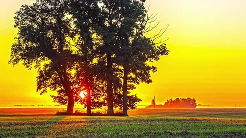 Fiery sunrise behind the silhouette of trees in a rural field, timelapse