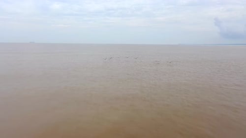 Aerial chasing low flying birds over brown sea water closing shot day
