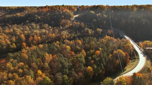 Vibrant autumn trees along a winding country road