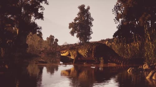 Crocodile se reposant au bord de la rivière dans un environnement naturel luxuriant
