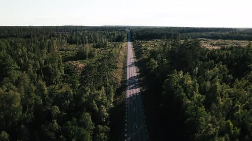 Leere Straße in Schweden vor Sonnenuntergang, Sommerzeit