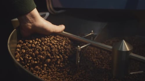 Roasted Coffee Beans Being Poured Back into Roaster
