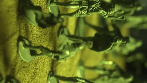 Ranks of Military Armed Plastic Toy Soldiers in Combat Detachments
