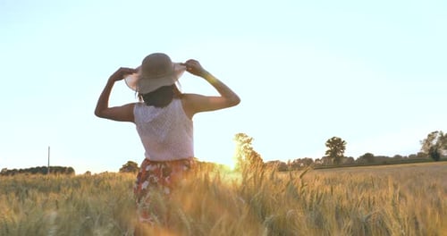 On a sunny day, a woman is walking along a wheat field with a white dress, in a straw hat on a nat