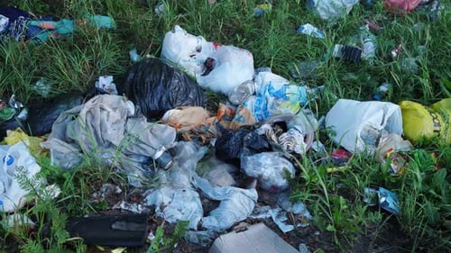 People Pollute the Environment Garbage in the Forest
