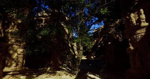 Exploring Ancient Ruins Surrounded By Lush Foliage in Bright Daylight