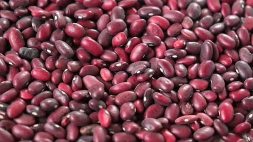 Kidney Beans Falling on Pile Close Up