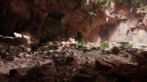 View From Inside a Dark Cave