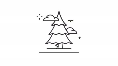 pine tree spruce tree animated icon motion graphic video