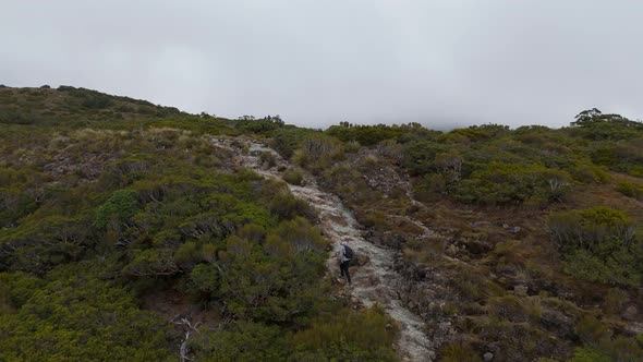 Aerial view Person nearing the Key Summit on the Routeburn track Fiordland National Park, Nature ...