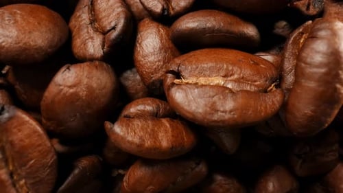 Coffee Beans Falling into Bowl on Wooden Table