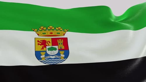 Realistic Waving Flag with Coat of Arms