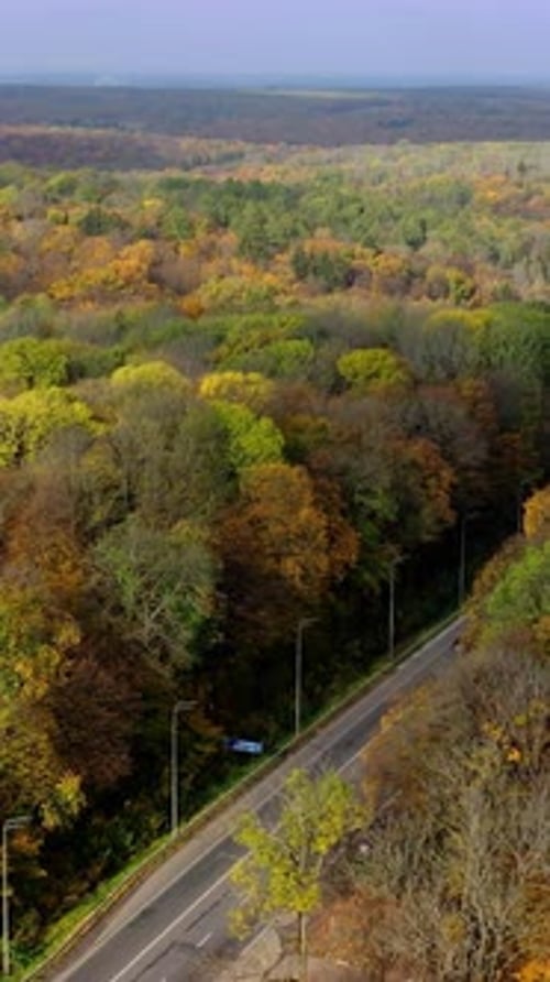 Road in autumn forest. Trucks and cars moving on a highway among beautiful scenery at fall season