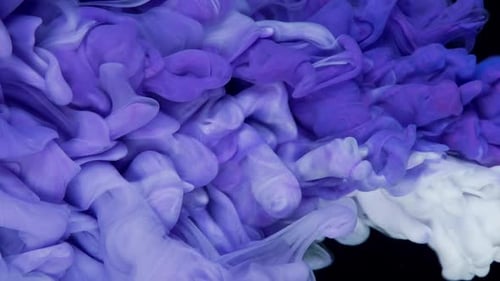 Dynamische Fluidität Blaue Tintenwolke, die sich im Wasser vor schwarzem Hintergrund entfaltet