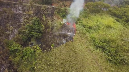 Firefighters Extinguish Wildfire on Lush Hillside