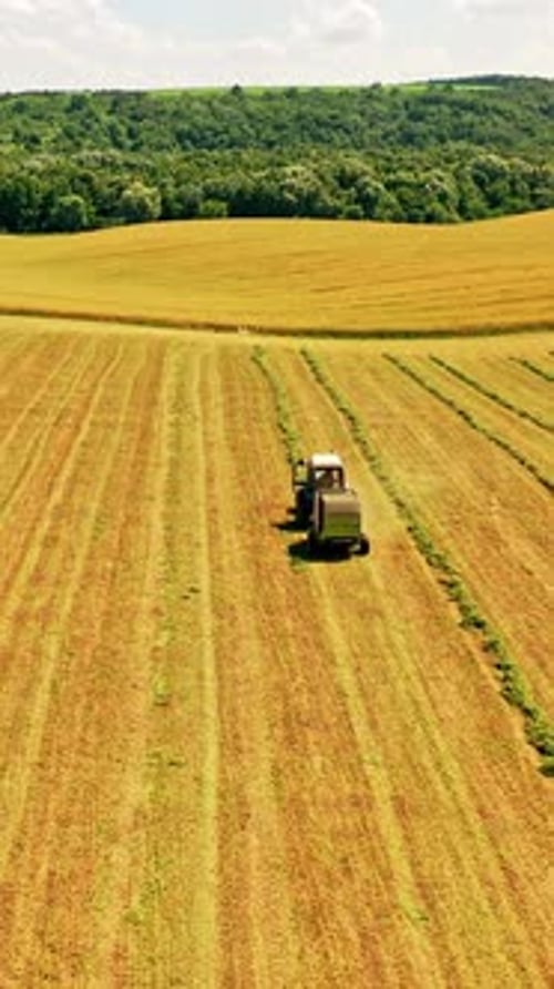 Aerial view of the wide yellow field in the countryside.