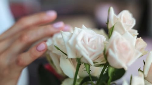 Woman's Hand Gently Touches White Roses Bouquet
