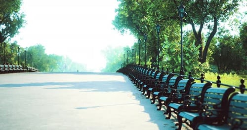 Empty Park Pathway Lined with Benches Under Bright Sunlight