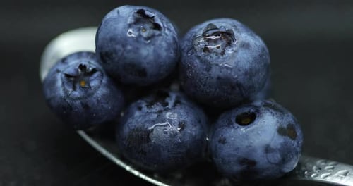 Close up macro shot of blueberries laying on a teaspoon of splashed and spayed water on a dark backg