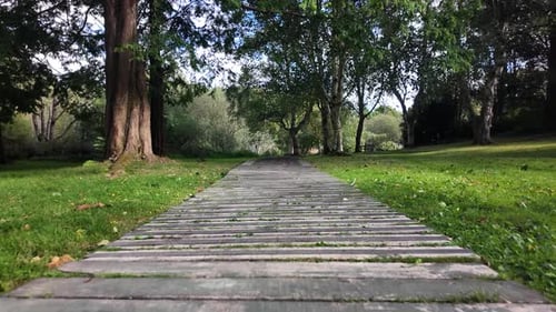 Serene Arboretum Path: Wooden Walkway Through Green Park With Trees