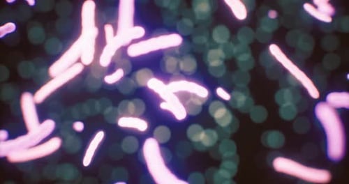 Fluid Motion of Glowing Microorganisms in Abstract Space