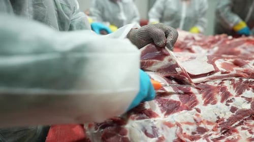 Worker Cutting Meat in Food Processing Plant